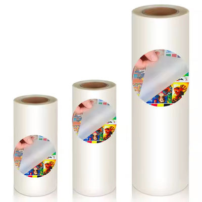 টিপিইউ পাউডার সামঞ্জস্যের সাথে পোশাকের জন্য 60CM x 100M ডিটিএফ পিইটি ফিল্ম রোল তাপ স্থানান্তর ফিল্ম